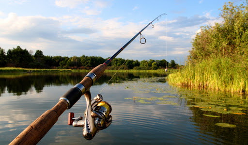 Fish Farming